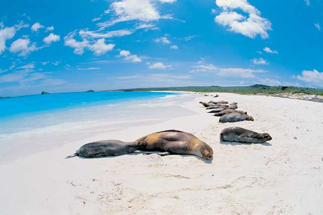art_195_1_ecuador_galapagos_viaggio